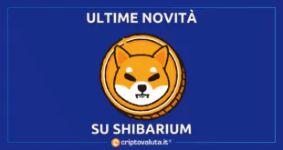 SHIBARIUM ONLINE