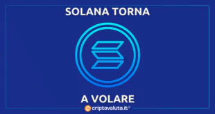 SOLANA SHORT LIQUIDAZIONE