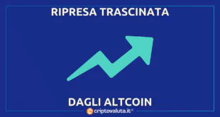 RIPRESA ALTCOIN