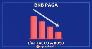 BNB busd calo