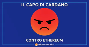 capo di cardano contro ethereum