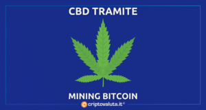 CBD CANNABIS BITCOIN