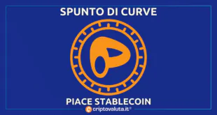 SPUNTO CURVE STABLECOIN