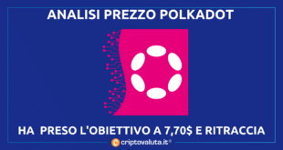 POLKADOT