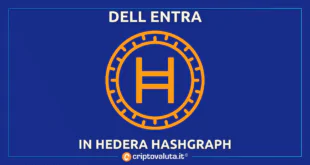 HEDERA HASHGRAPH DELL