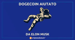 ELON MUSK AIUTA DOGE