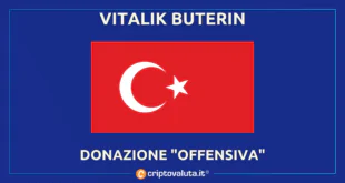 Vitalik Buterin donazione offensiva