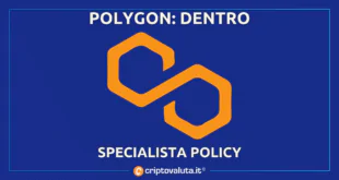 POLYGON POLICY LOBBY