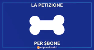 PETIZIONE BONE