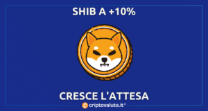 SHIBA CRESCE ATTESA