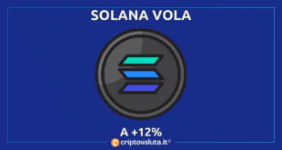 Solana Vola +12