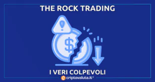 The Rock Trading colpe