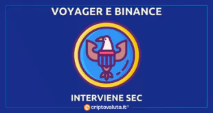 BINANCE SEC VOYAGER