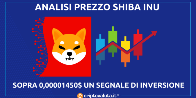 Shiba Inu