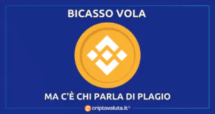 BICASSO VOLA PLAGIO