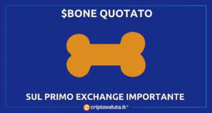 BONE QUOTATO CRYPTOCOM