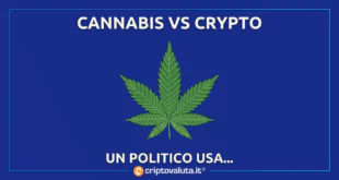 CANNABIS CRYPTO ANALISI