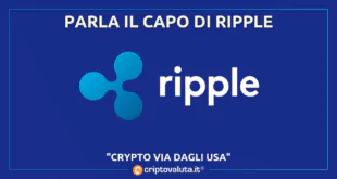 CAPO RIPPLE PARLA