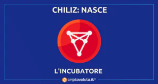 Chiliz incubators da 50 milioni