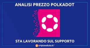 POLKADOT