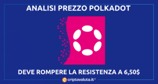 POLKADOT