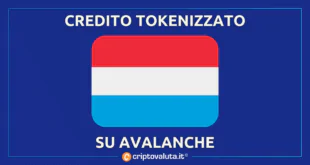 AVAX tokenizzazione credito