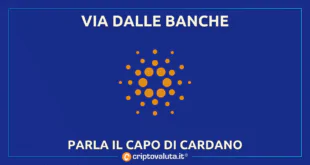 capo cardano parla su banche