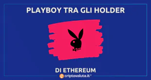 PLAYBOY ETHEREUM