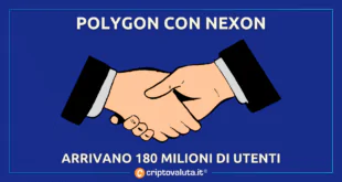 POLYGON NEXON