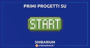 START PROGETTI SHIBA INU