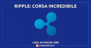 RIPPLE INCREDIBILE