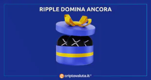 RIPPLE DOMINA ANCORA