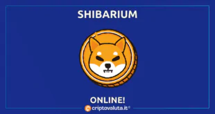 Shibarium di Shiba Inu pubblicato