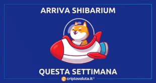 SHIBARIUM QUESTA SETTIMANA