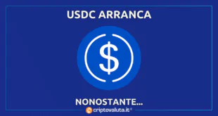 USDC ARRANCA