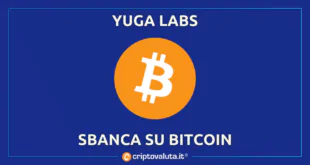 YUGA LABS VINCE