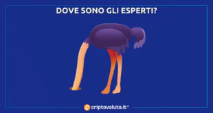 DOVE SONO GLI ESPERTI BITCOIN