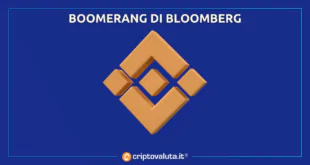 BLOOMBERG BOOMERANG