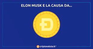 Dogecoin CAUSA