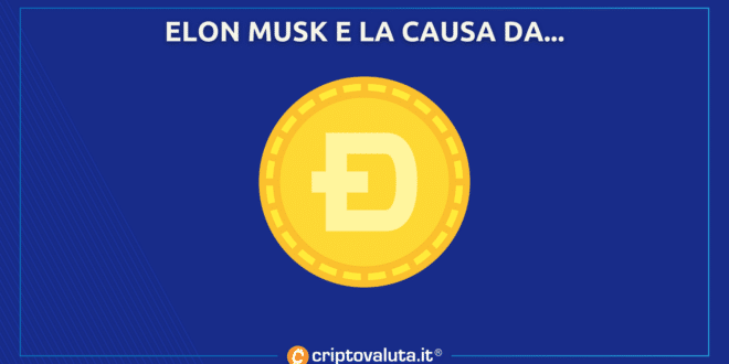 Dogecoin CAUSA