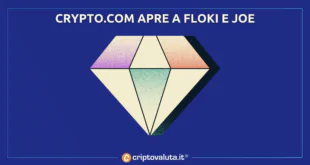 FLOKI JOE CRYPTOCOM