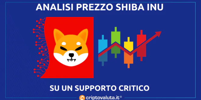 Shiba Inu Coin