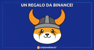 FLOKI REGALO DA BINANCE