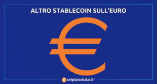 STABLECOIN EURO