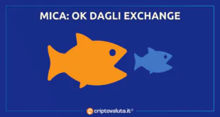 Mica exchange crypto