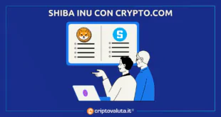 SHIBA INU COIN CRYPTO.COM