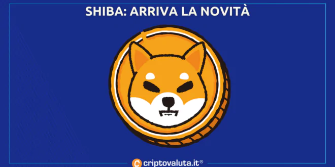 SHIBA INU NOVITÀ