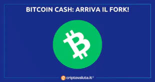 Bitcoin Cash up perché