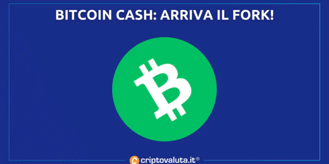 Bitcoin Cash up perché