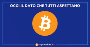 DATO SU BITCOIN